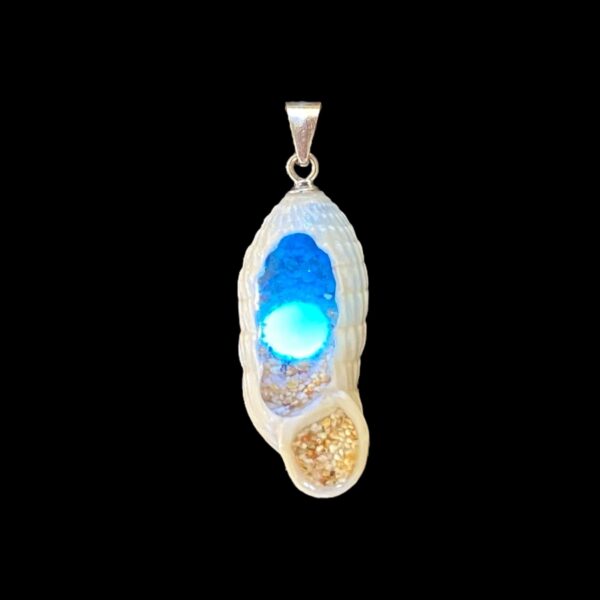 Kukudushi Cosmos SILVER MOON - Image 2